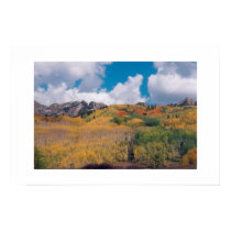 Kebler Pass Fall 2001 posters by Ron_Coburn Kebler Pass Fall 2001 posters