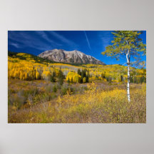 Kebler Pass Senery On Canvas Print