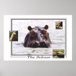Keeboko in the Selous Game Reserve posters