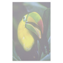 Keel-billed toucan customized stationery