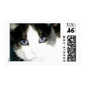 Keen-Eye Kitty postage by cimmonz Keen-Eye Kitty postage