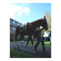 Keeneland Horse Print