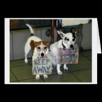 Keep Away! cards