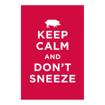 Keep Calm and Don't Sneeze posters