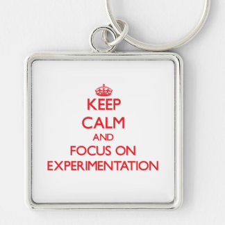 keep_calm_and_focus_on_experimentation_keychain-r28919c39009745e39d3c0cd6f682cc3b_x76w6_8byvr_324.jpg