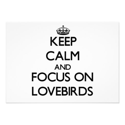 Keep Calm and focus on Lovebirds Custom Invites