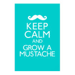 Keep Calm and Grow a Mustache Poster posters