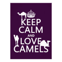 Keep Calm and Love Camels (all colors) Personalized Invitation