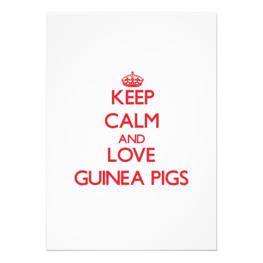 Keep calm and love Guinea Pigs Personalized Invite
