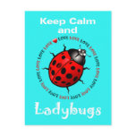 -Keep Calm and Love Ladybugs Love Beautiful Nature Post Card