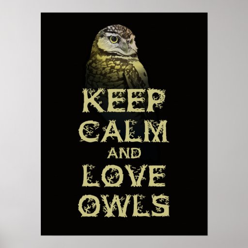 Keep Calm And Love Owls Poster Print Original Owl Zazzle