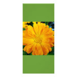 keep calm and read on, yellow daisy bookmark personalized rack card