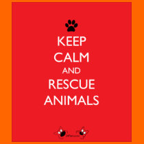 Keep Calm and Rescue Animals Black Paw Tshirts