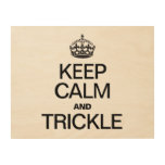KEEP CALM AND TRICKLE WOOD CANVAS
