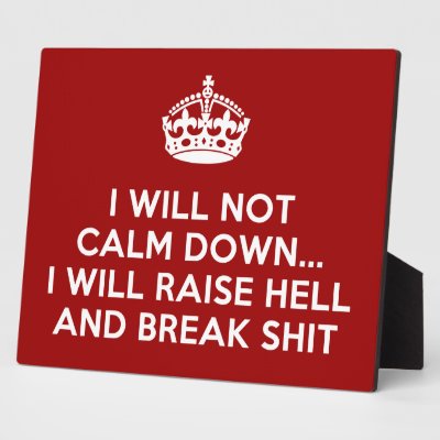 Keep Calm Raise Hell and Break Stuff Display Plaques