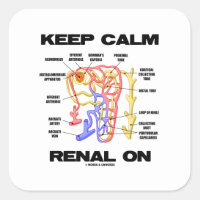 Keep Calm Renal On (Kidney Nephron) Square Sticker