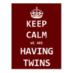 Keep Calm we are having twins Post Card