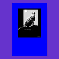 Keep it Simple posters