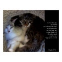 Keep Me Safe (Cat) Fine Art Print by jaisjewels Keep Me Safe (Cat) Fine Art Print