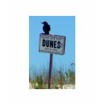 KEEP OFF THE DUNES t-shirts