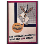 Keep Out Malaria Mosquitoes Repair Your Torn Scree Full Color Flyer