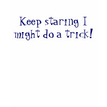 Keep staring I might do a trick! t-shirts by acraines Keep staring I might do a trick! t-shirts