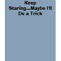 Keep Staring...Maybe I'll Do a Trick t-shirts