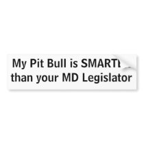 Keep stickin' it to the man bumper sticker