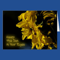 Keep the Son in Your Eyes Encouragement cards