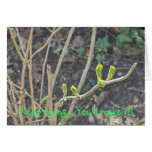 Keep Trying you'll make it! Greeting Card