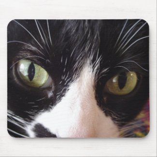 Keep Your Cat Eyes On The Mouse! mousepad