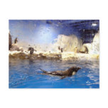 Keep Your Head Up/Cute Swimming Penguin Post Cards