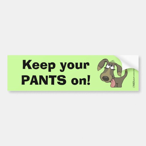 Keep Your PANTS On! Dog Bumper Sticker Zazzle