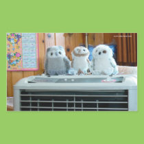 Keepin' Cool! stickers