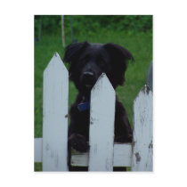 keeping an eye out postcards by iiiyaaa keeping an eye out postcards