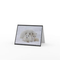 Keeping Warm cards