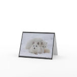 Keeping Warm cards