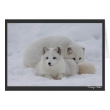 Keeping Warm Card