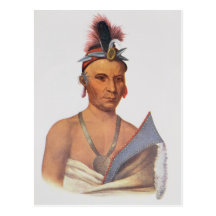 Keesheswa or 'the Sun', a Fox Chief Post Card