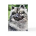 Keeshond Art Gifts cards