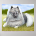 Keeshond Dog Poster