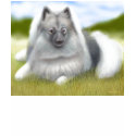 Keeshond Kids T-Shirt by twopurringcats Keeshond Kids T-Shirt
