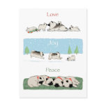 Keeshond Love Joy Peace Postcard