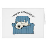 Keeshond "Non-Sporting Breed" Cards