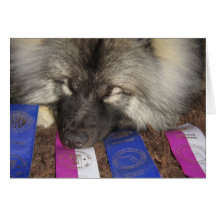Keeshond Show Puppy Greeting Card