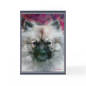keeslook  cards
