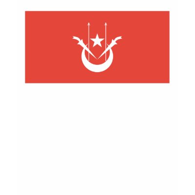 Kelantan Flag T-shirt by FlagTshirts