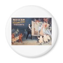 Keller and His Perplexing Cabinet Mysteries magnets