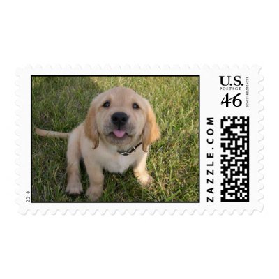 Kelly Berry Postage Stamp by Kellye99