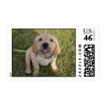 Kelly Berry postage